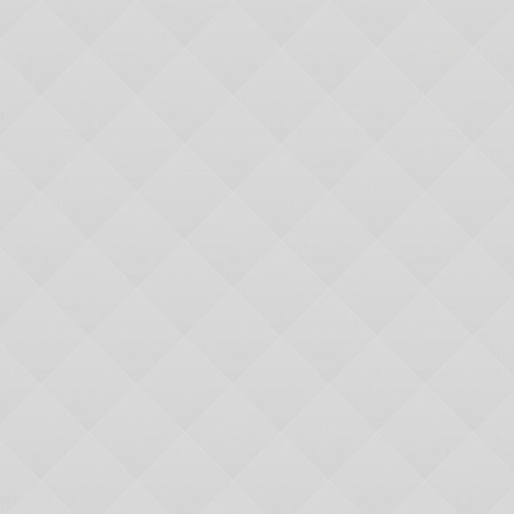 Effective Lecturing Skills in English